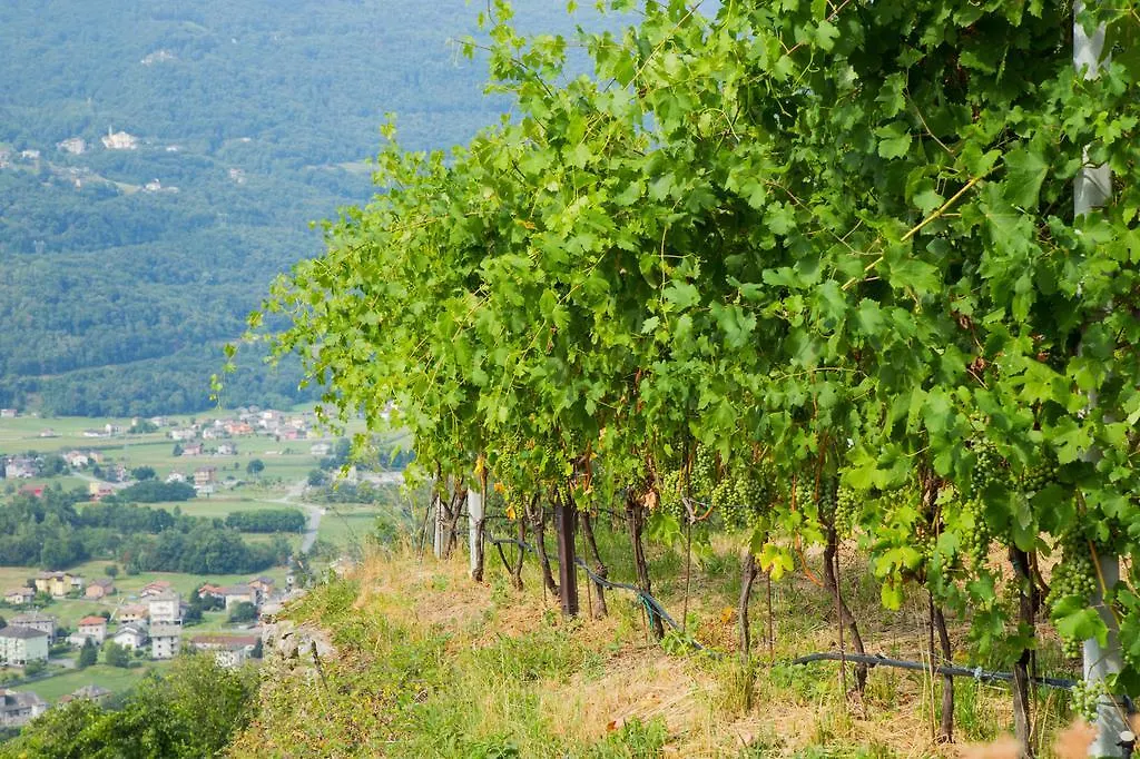 B&B Ca' La Vedescia Teglio Italia