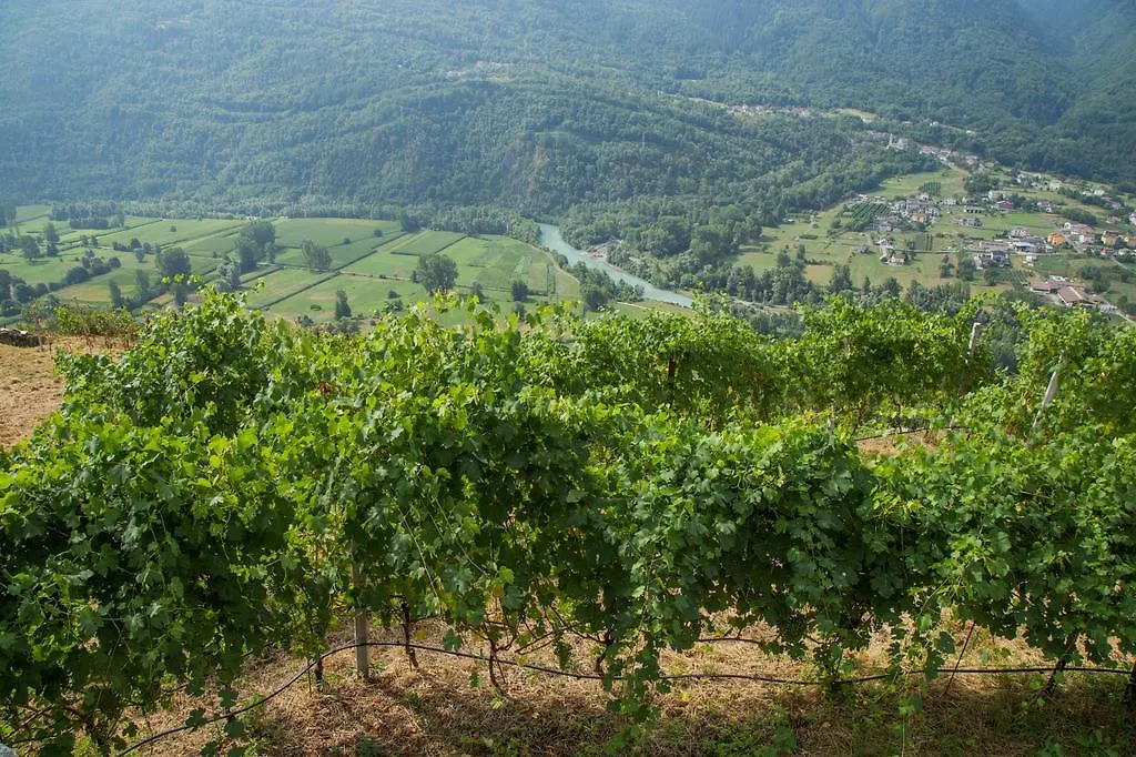 B&B Ca' La Vedescia Teglio Bed & Breakfast